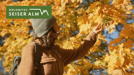 Herbst in der Dolomitenregion Seiser Alm