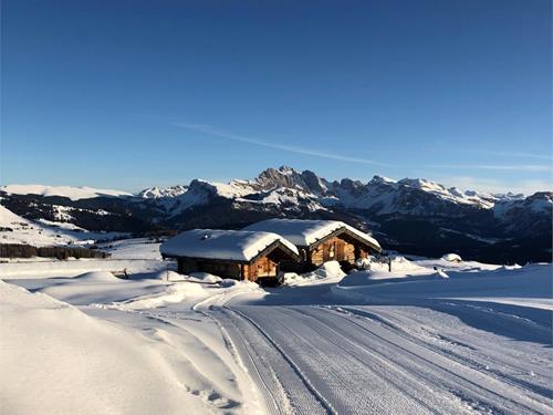 Alpine Star Hut (2045m)