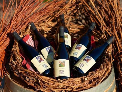Schlerngenuss Dolomites: Weingutbesichtigung und Verkostung am Prackfol Hof