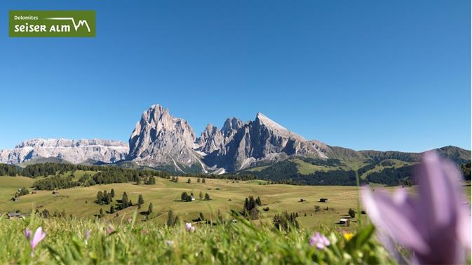 Seiser alm - The most breathtaking mountain plateau in the world