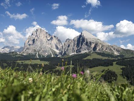 Schlern-Rosengarten Nature Park in the UNESCO World Heritage in the Dolomites