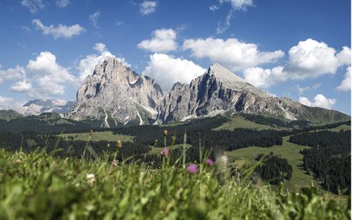 Naturpark Schlern-Rosengarten im UNESCO Welterbe in den Dolomiten