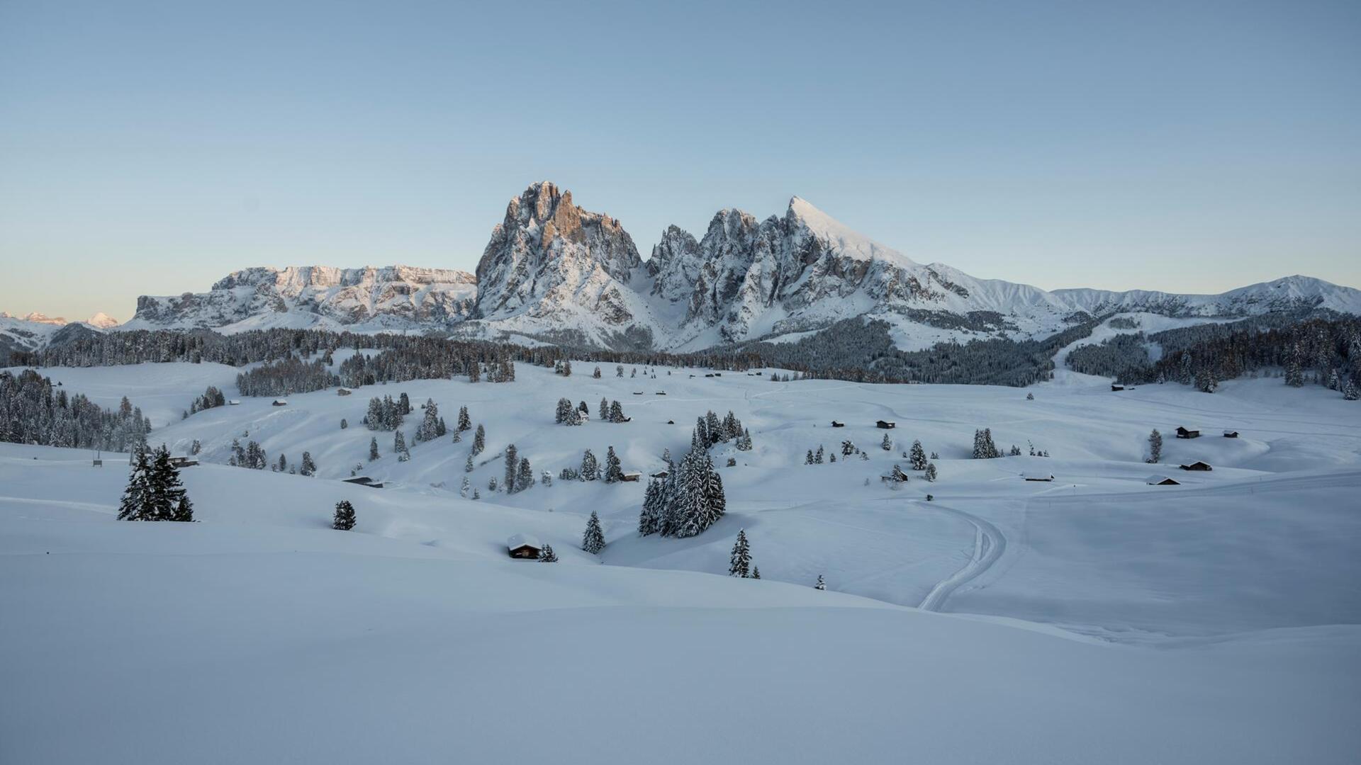 seiser-alm-marketing-helmuth-rier