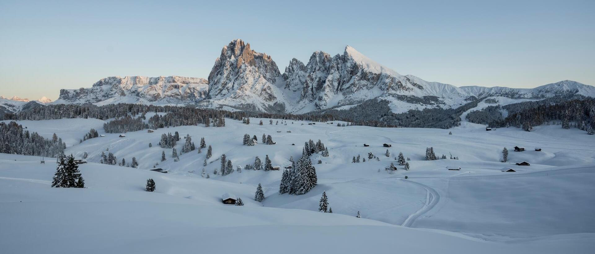 seiser-alm-marketing-helmuth-rier