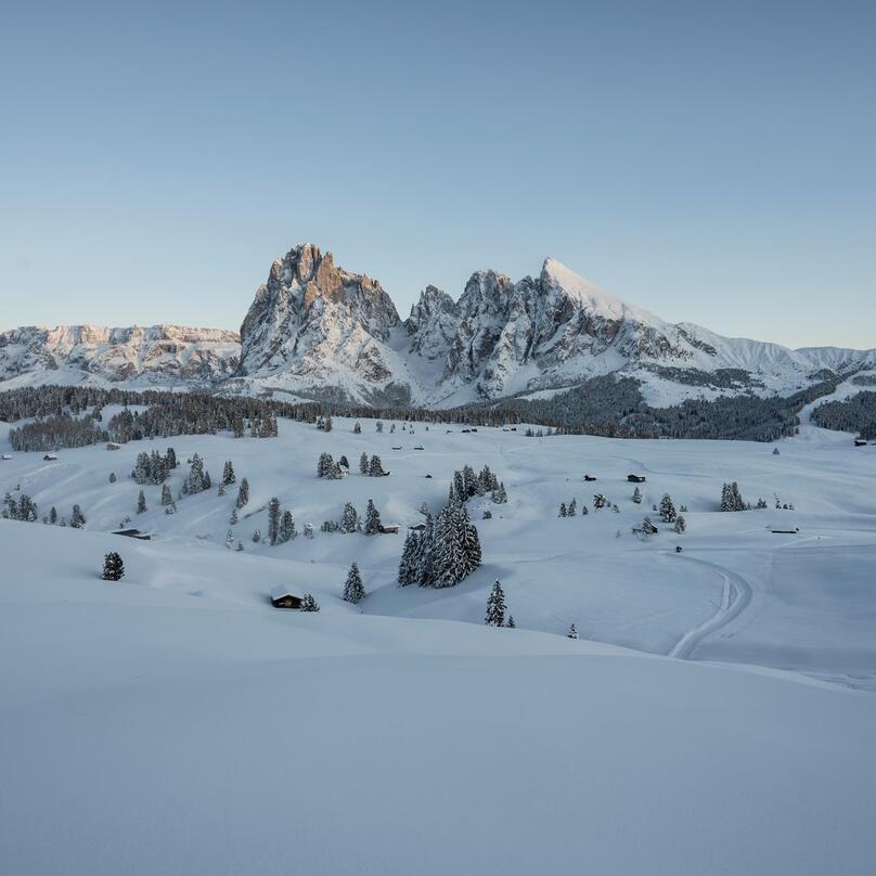 Alpe di Siusi