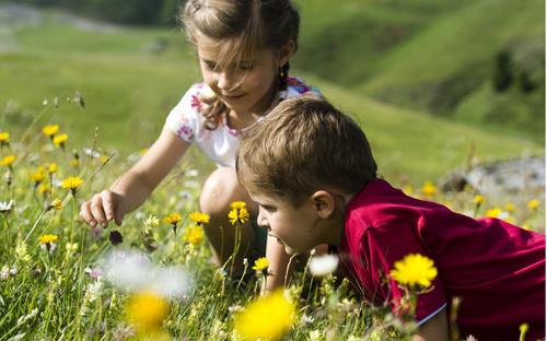 Scoprire la natura - Escursioni con bambini Alpe di Siusi