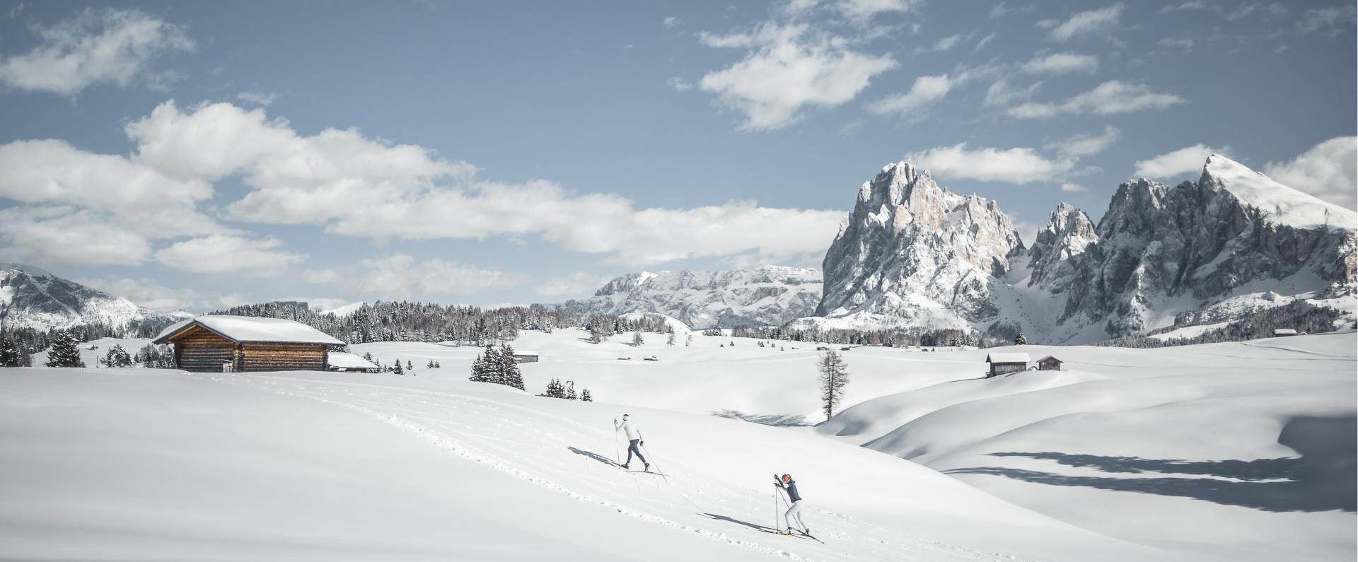 Winter cross-country skiing on the Seiser Alm with the Langkofel and Plattkofel in the background