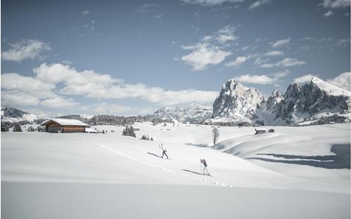 Sci di fondo invernale sull'Alpe di Siusi, sullo sfondo il Sassolungo e il Sassopiatto